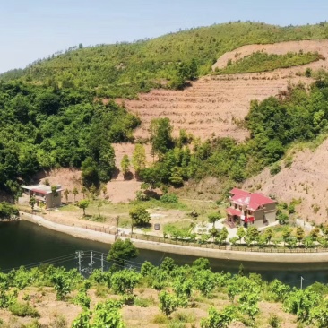 赣州储潭山地水库出售