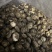 包邮白茶花精选3-4公分2025新花菇烘干厚肉