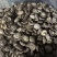 包邮白茶花精选3-4公分2025新花菇烘干厚肉