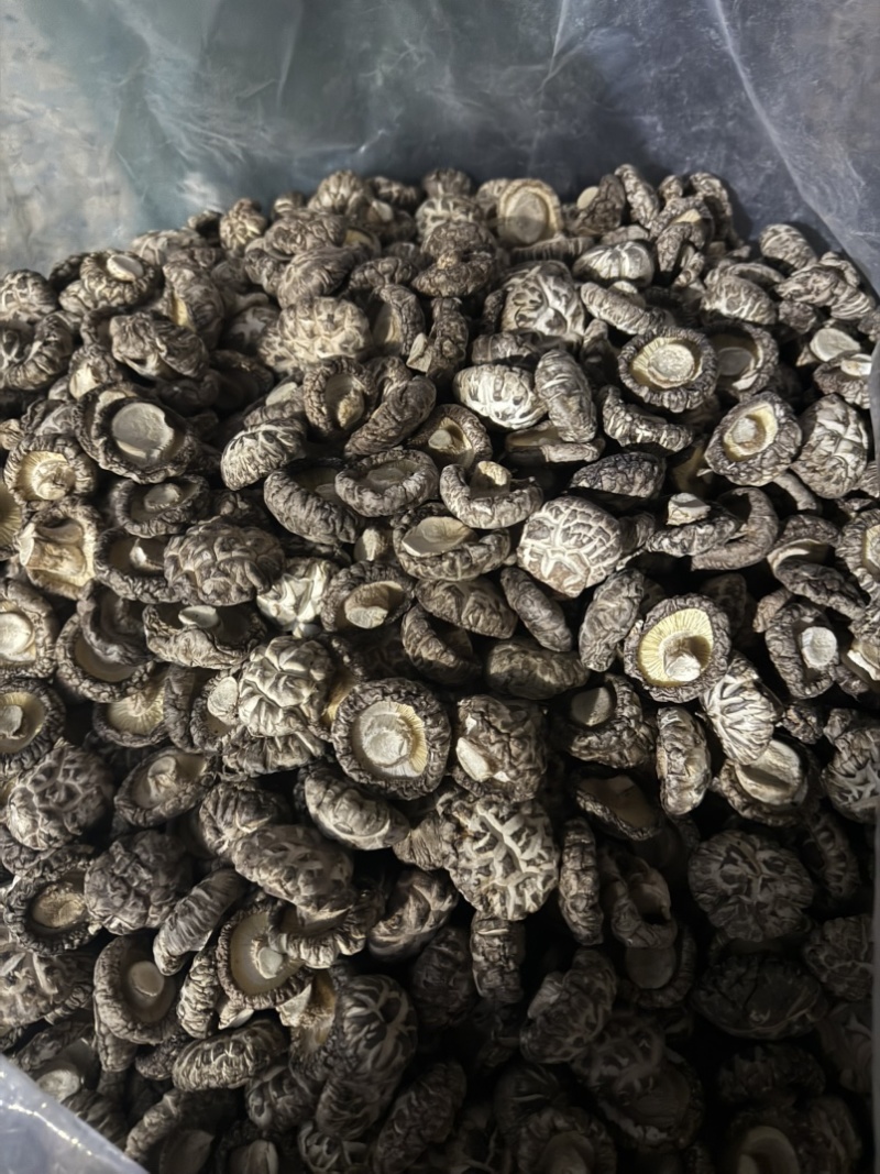 包邮白茶花精选3-4公分2025新花菇烘干厚肉