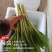 柳叶白菜薹