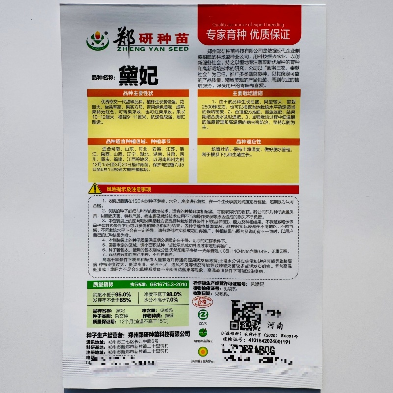 大果甜椒灯笼椒种子硬度好耐储运肉厚味甜皮光泽高产抗病甜椒