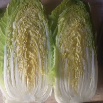 优质娃娃菜大量供应，代发全国，质量保证，