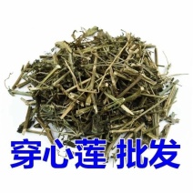 穿心莲中药材无硫无熏染保证正品