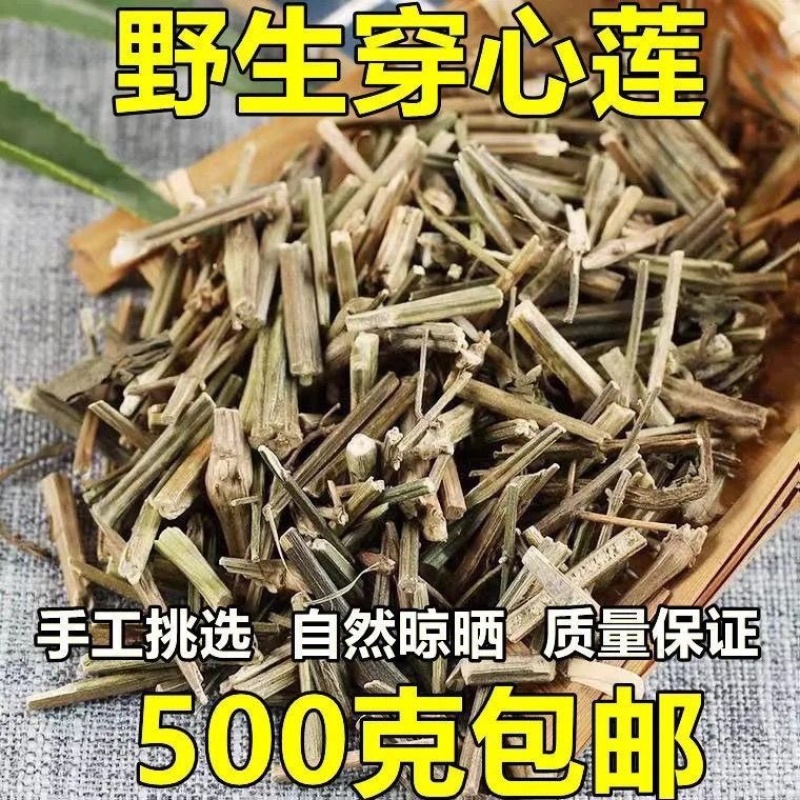穿心莲中药材无硫无熏染保证正品