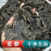 玄参中药材正宗玄参无硫无熏染保质保量