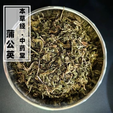 蒲公英中药材高品质正宗蒲公英保质保量