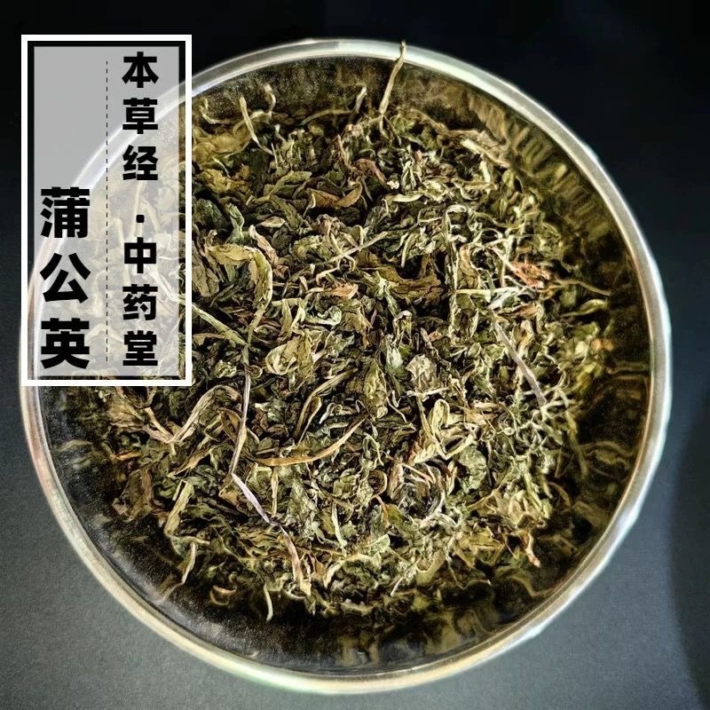 蒲公英中药材高品质正宗蒲公英保质保量