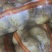 裂口土豆，小裂口，半斤起步，无烂薯价格合适，没吨900
