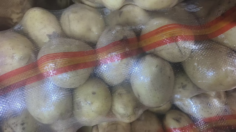 裂口土豆，小裂口，半斤起步，无烂薯价格合适，没吨900