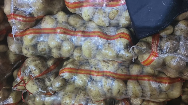 裂口土豆，小裂口，半斤起步，无烂薯价格合适，没吨900