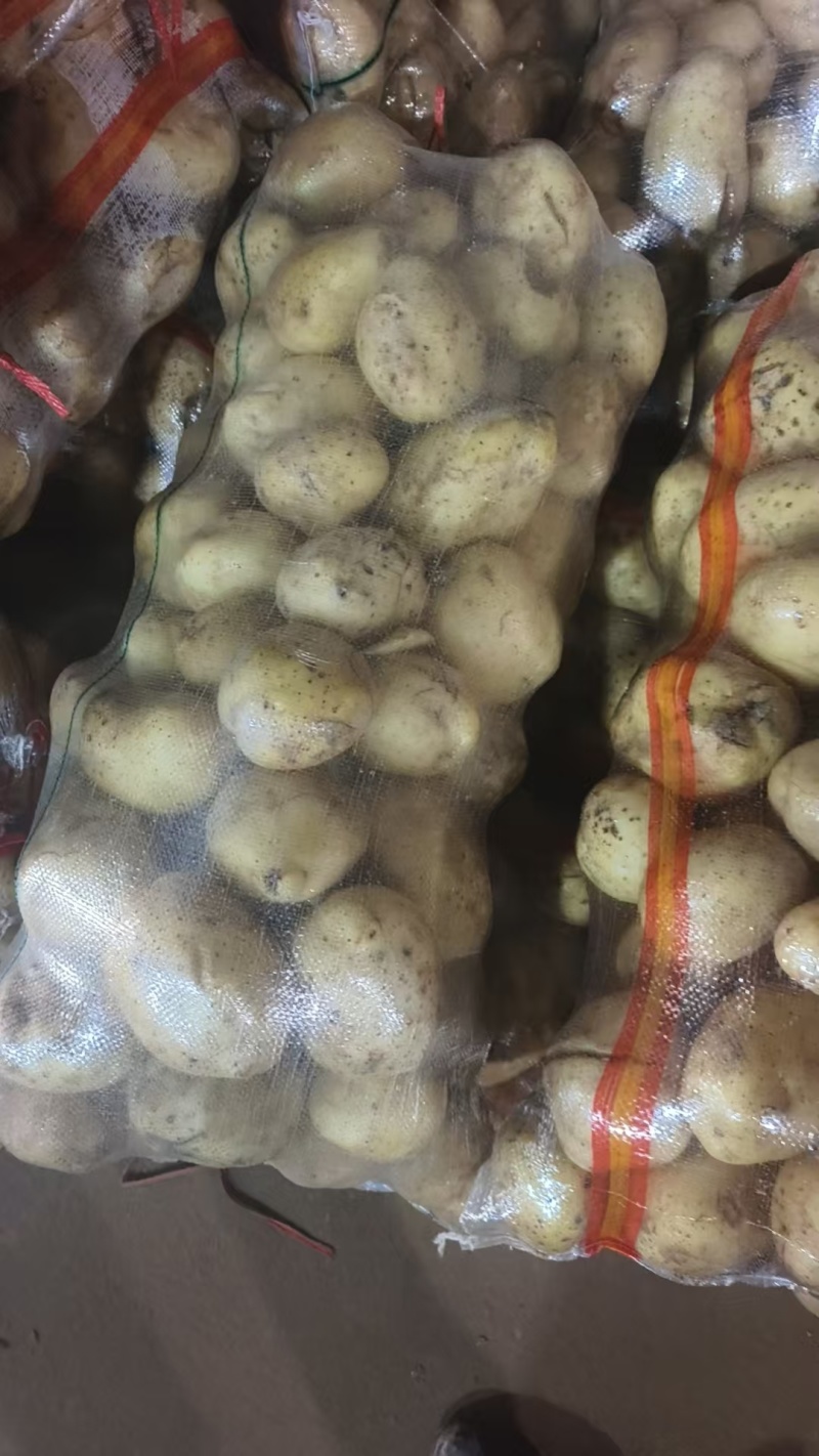 裂口土豆，小裂口，半斤起步，无烂薯价格合适，没吨900