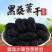 桑葚中药材正宗桑葚无硫无熏染无染色保证正品