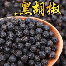 黑胡椒正宗保证正品保质保量无杂质