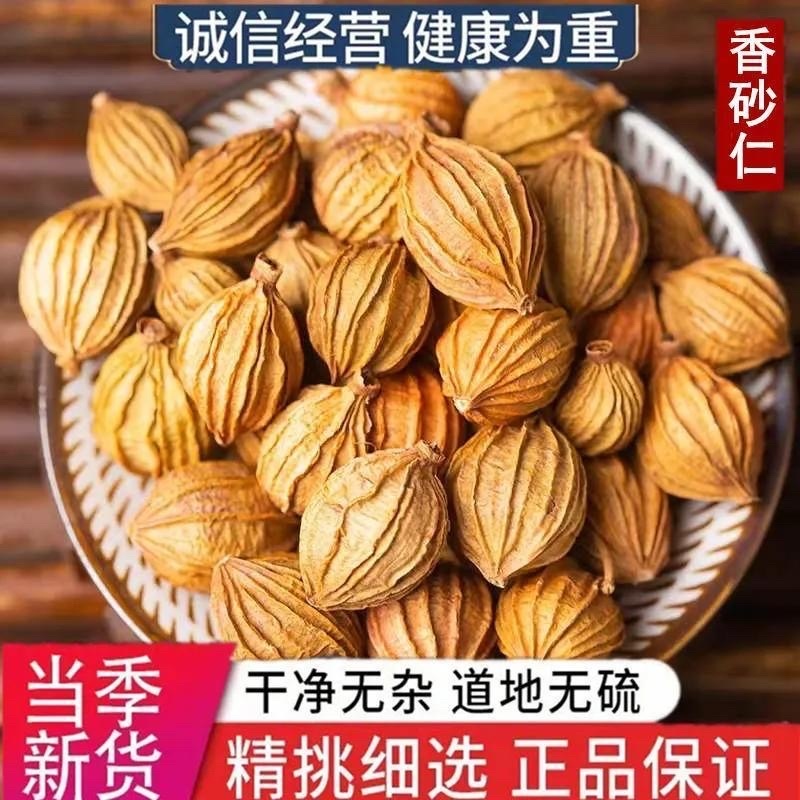 香砂中药材正宗香砂保证正品无硫无熏染无染色