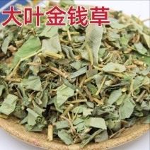 金钱草中药材正宗金钱草无硫无熏染无染色保证正品保