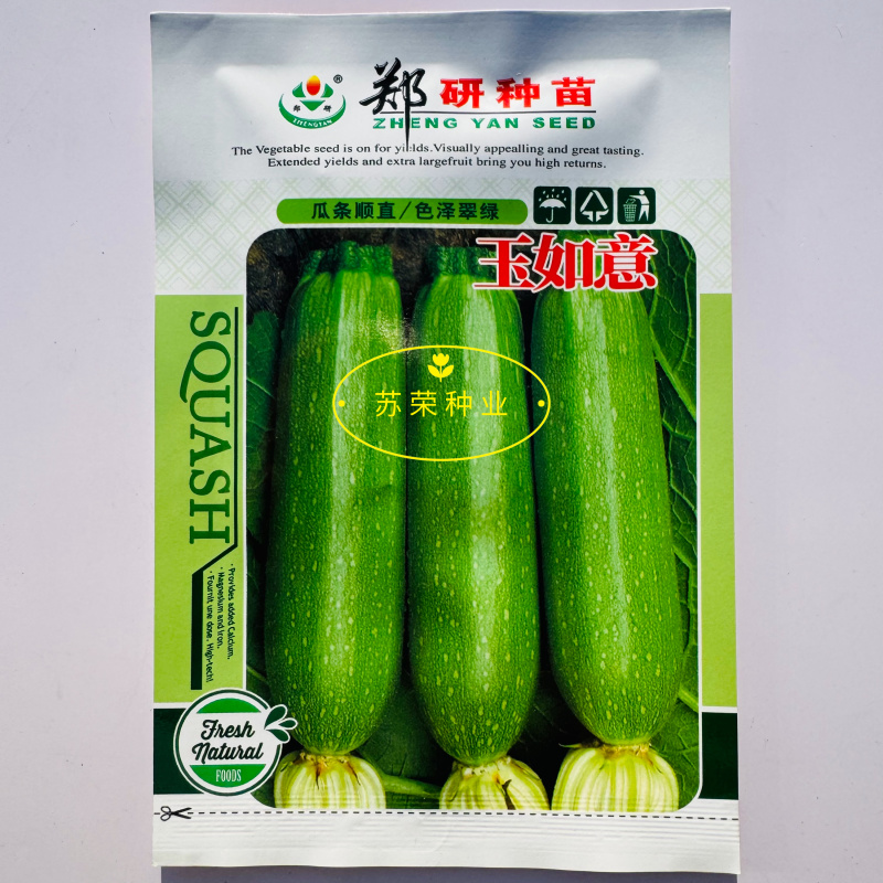 郑研玉如意西葫芦种子耐热早熟耐低温翠绿抗病油亮越冬蔬菜