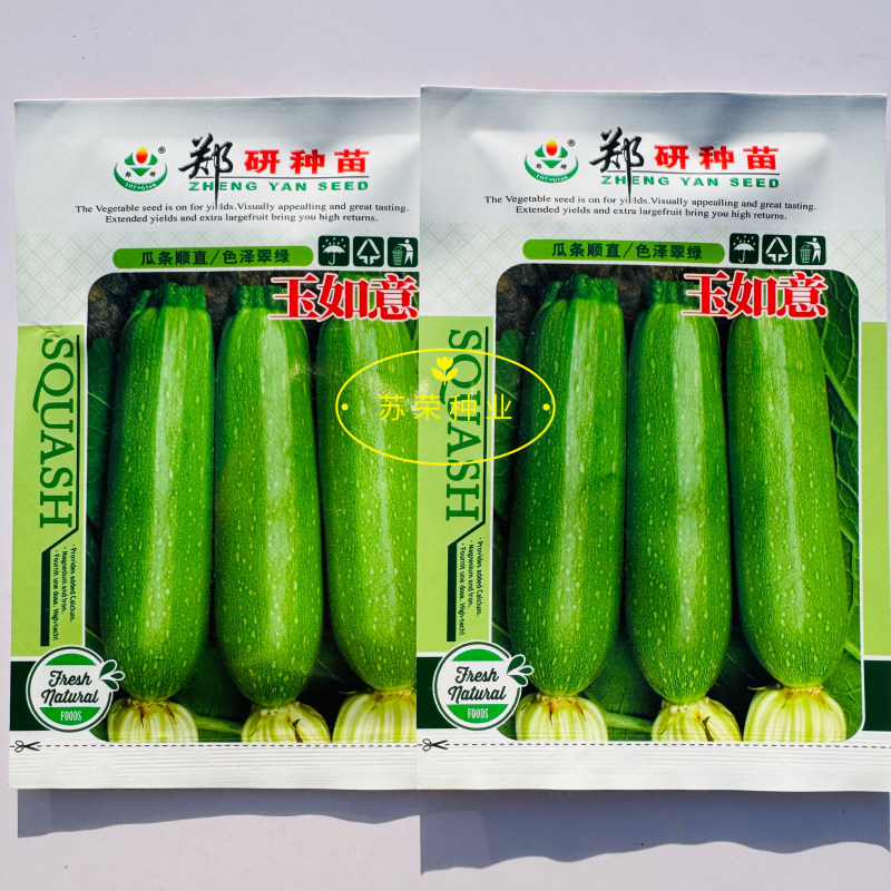 郑研玉如意西葫芦种子耐热早熟耐低温翠绿抗病油亮越冬蔬菜