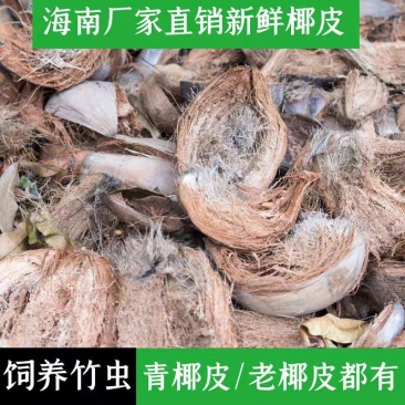 批发老椰子皮新鲜青椰子皮现剥皮青老椰皮老椰皮椰糠竹虫专用
