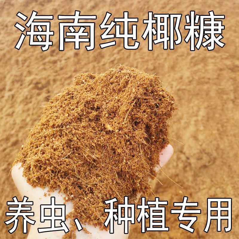 批发老椰子皮新鲜青椰子皮现剥皮青老椰皮老椰皮椰糠竹虫专用