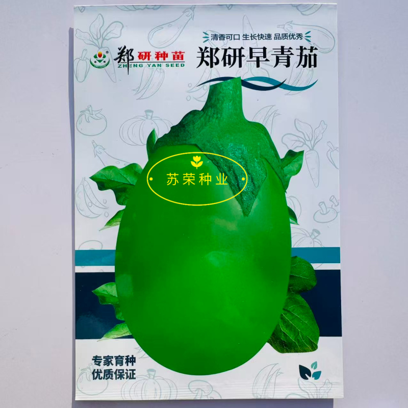郑研早青茄种子茄子种籽高产四季蔬菜种子青茄子绿皮耐热