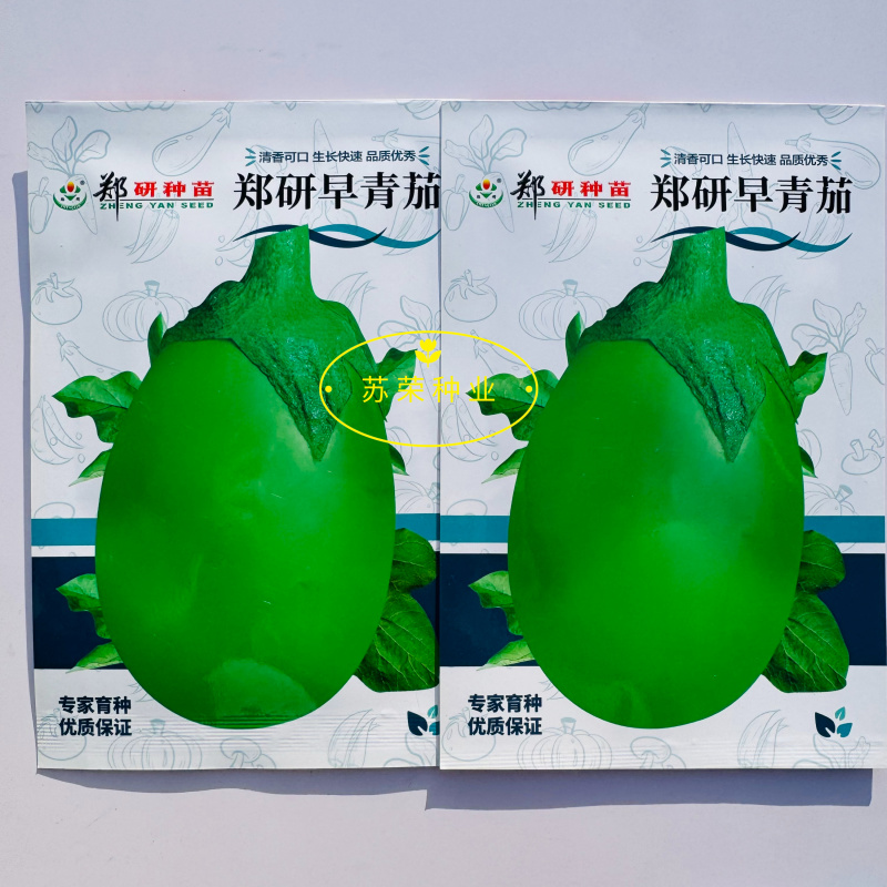 郑研早青茄种子茄子种籽高产四季蔬菜种子青茄子绿皮耐热