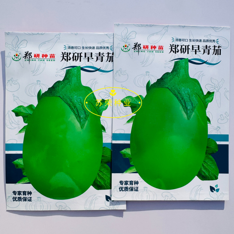 郑研早青茄种子茄子种籽高产四季蔬菜种子青茄子绿皮耐热
