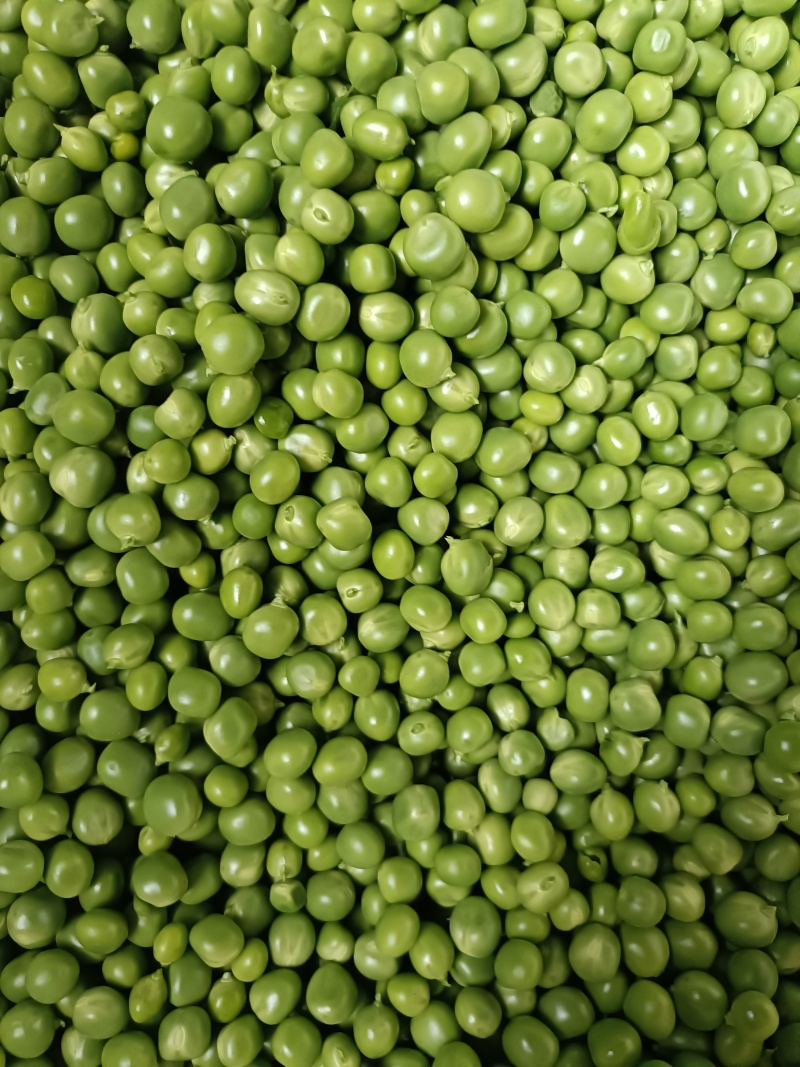 豌豆米大量供应