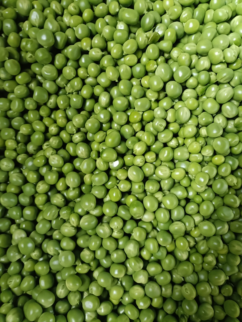 豌豆米大量供应