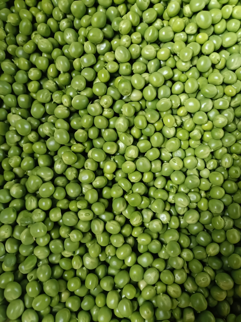 豌豆米大量供应