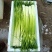 蒜苔大量供应