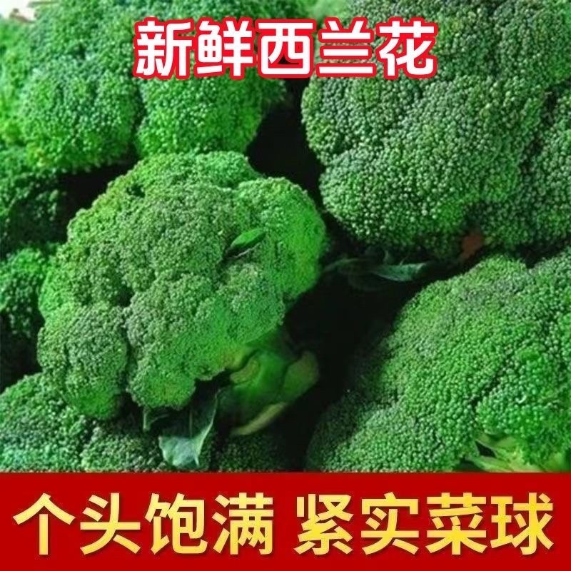 产区直发/现货/当天采摘/当天发车/