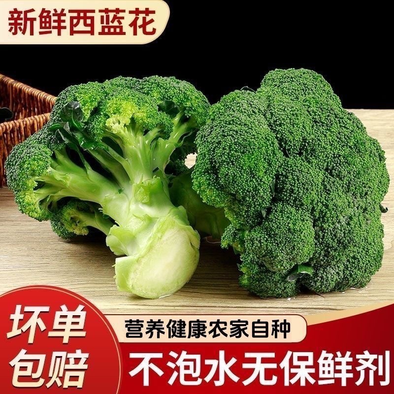 产区直发/现货/当天采摘/当天发车/