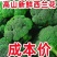 产区直发/现货/当天采摘/当天发车/