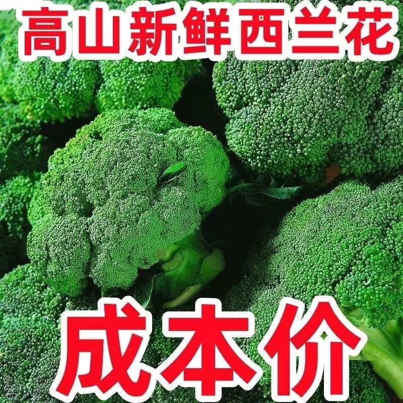 产区直发/现货/当天采摘/当天发车/