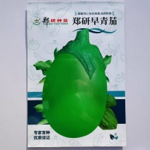 绿帅优质绿茄茄子种子1500粒早熟抗病高产品质优