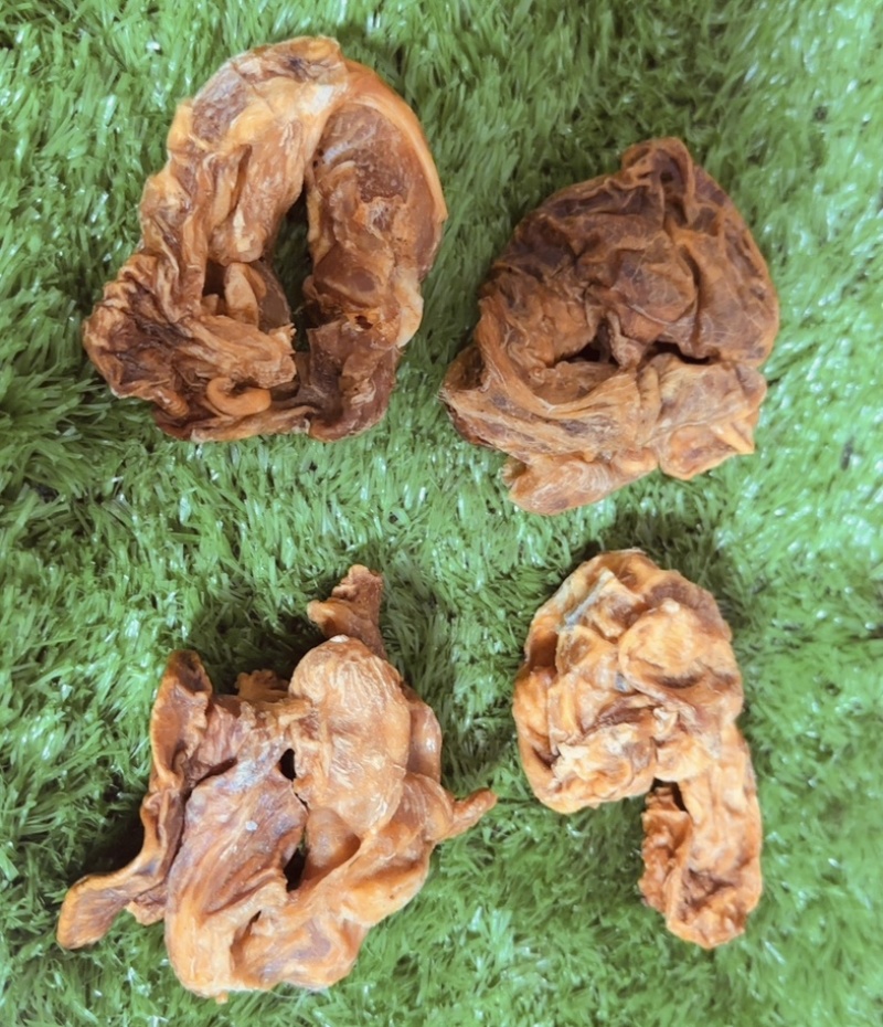 吉林鹿乡鹿胎衣胎盘干鹿胎打粉梅花鹿鹿胎胎盘