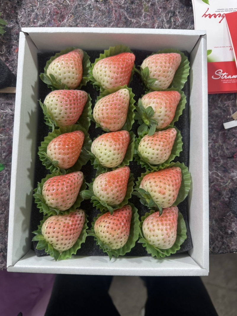 徐州宁玉草莓产地，承接奶茶，蛋糕房，渠道，电商，市场