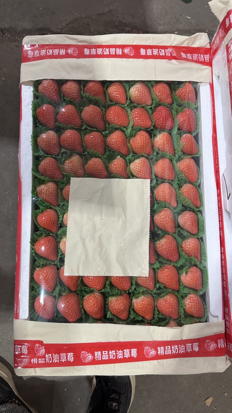 徐州宁玉草莓产地，承接奶茶，蛋糕房，渠道，电商，市场