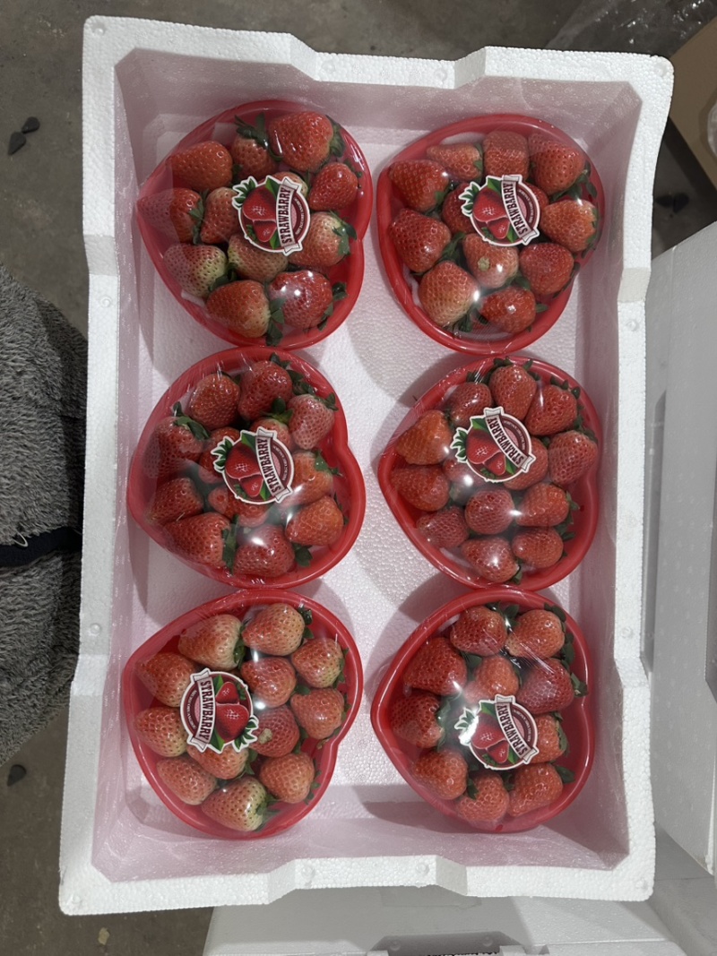 徐州宁玉草莓产地，承接奶茶，蛋糕房，渠道，电商，市场
