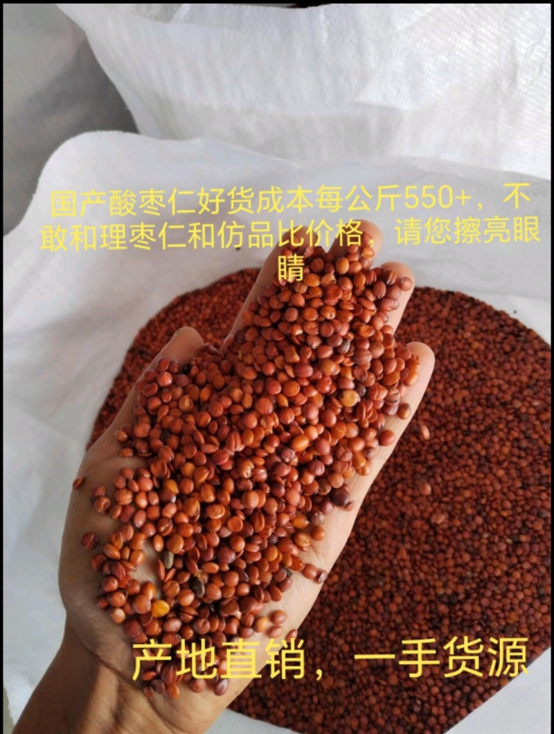 人工挑选酸枣仁.一颗酸枣仁，安睡一整晚。