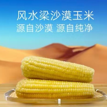 沙漠甜糯玉米