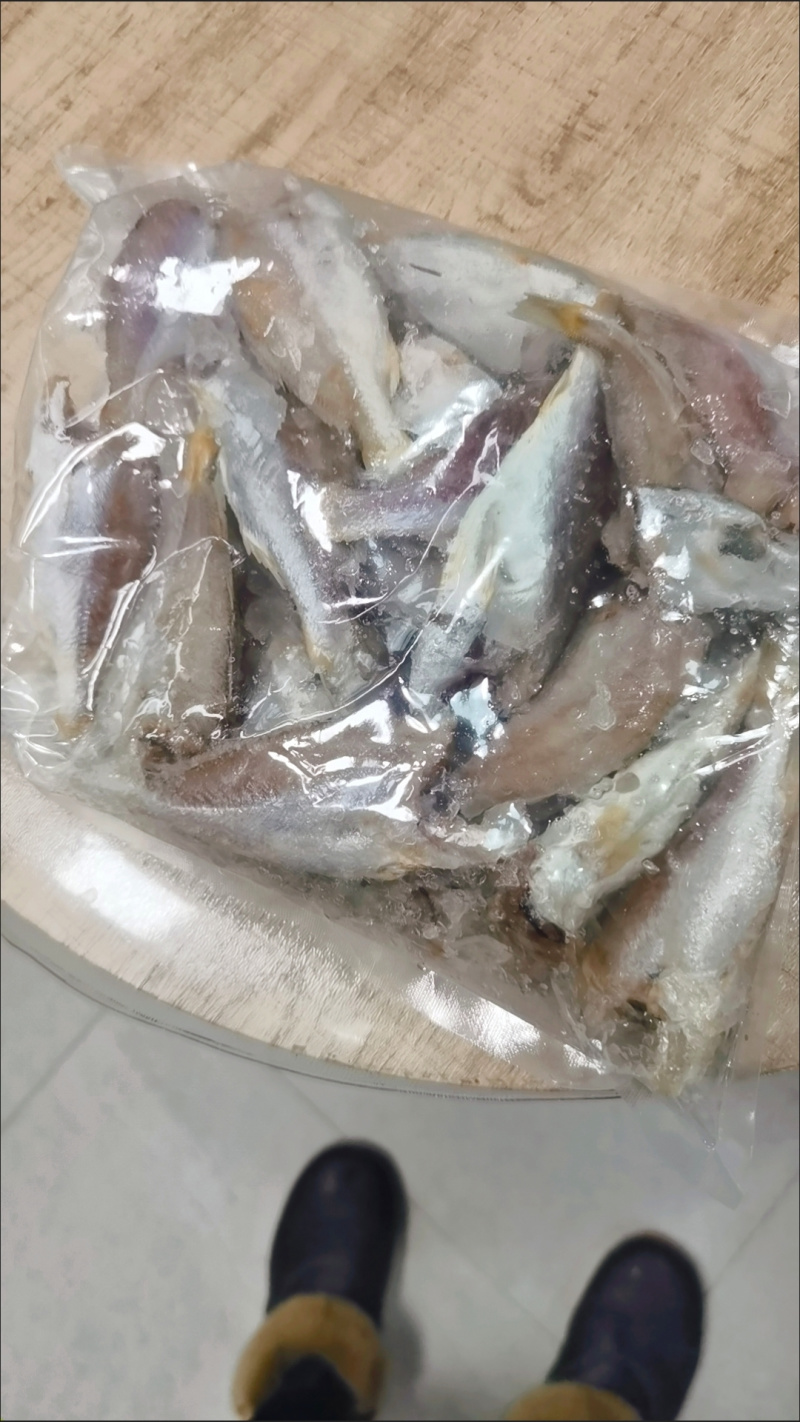 东海小黄鱼去头小黄鱼黄花鱼新鲜小黄鱼东海小黄鱼速冻黄