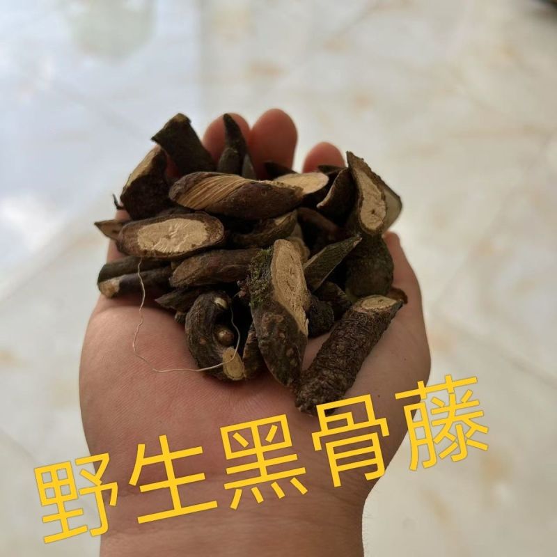 贵州黑骨藤