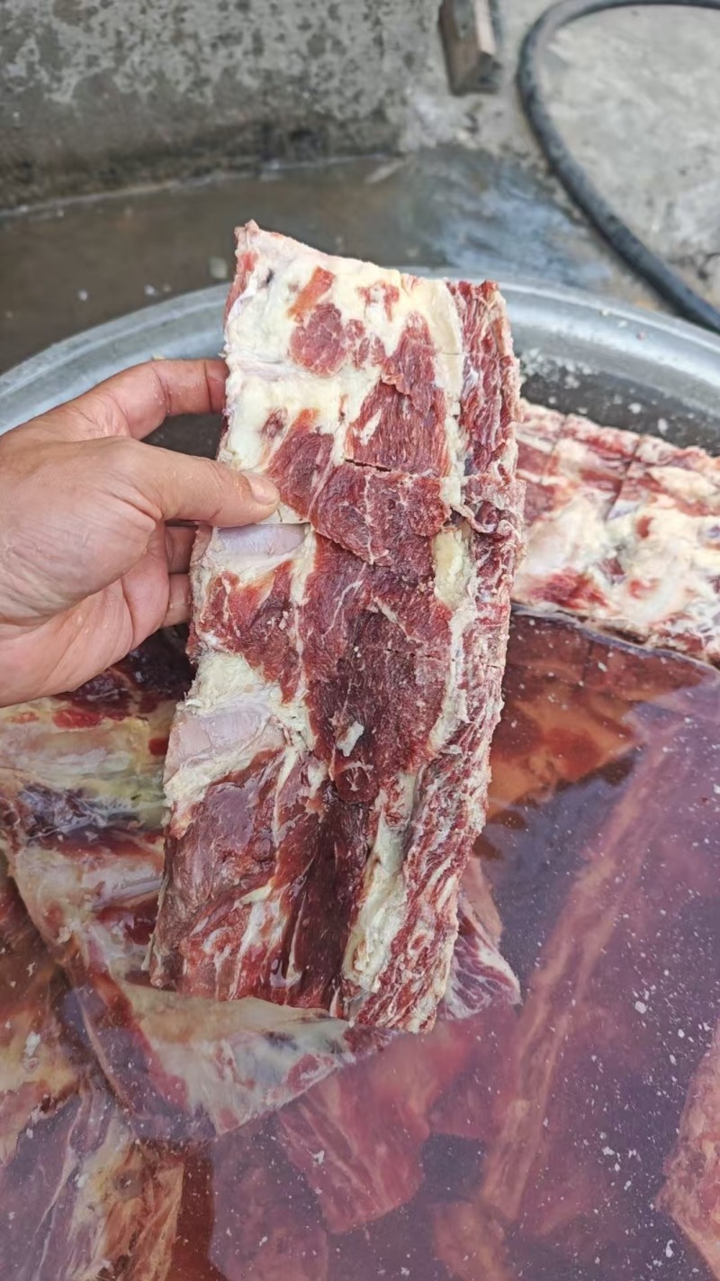 满肉牛腰椎骨