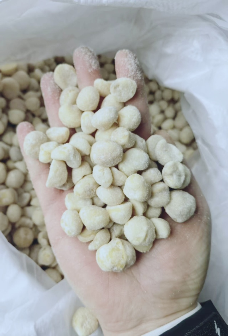 夏威夷果仁奶香味添加益生菌大量现货