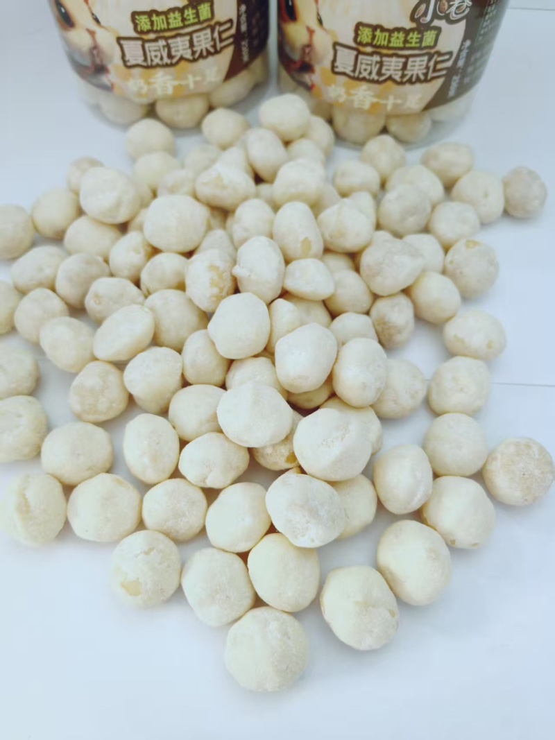 夏威夷果仁奶香味添加益生菌大量现货