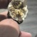 白术个子