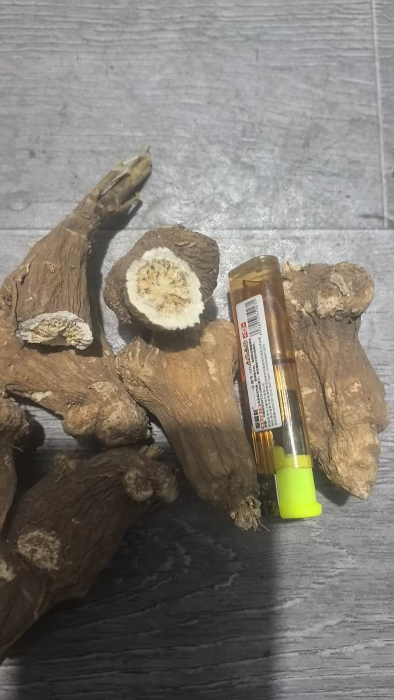 白术个子