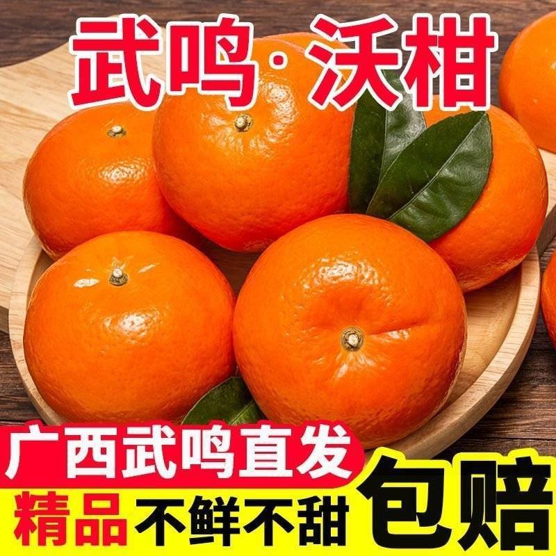 【一件代发】广西武鸣沃柑/电商代发/社区团购/各大商超